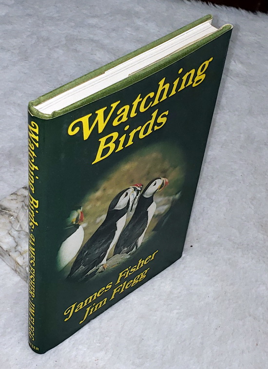 Watching Birds