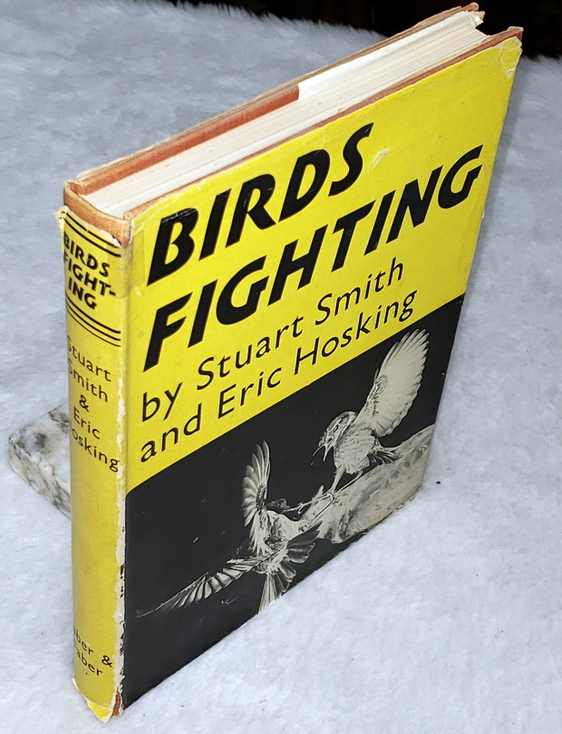 Birds Fighting: Experimental Studies of the Aggressive Displays of Some Birds