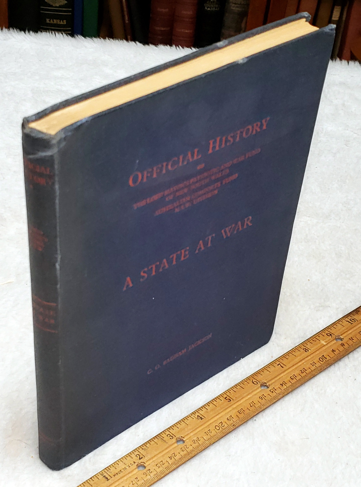 A State At War: The Official History of the Lord Mayer's Patriotic and War Fund of New South Wales, the Australian Comforts Fund, N.S.W. Division
