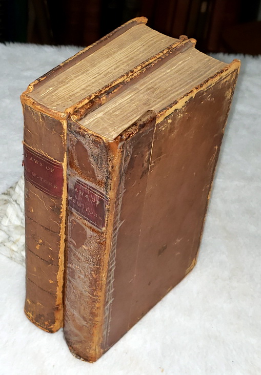 Laws of the State of New-York, Revised and Passed at the Thirty-Sixth Session of the Legislature (Two Volumes)