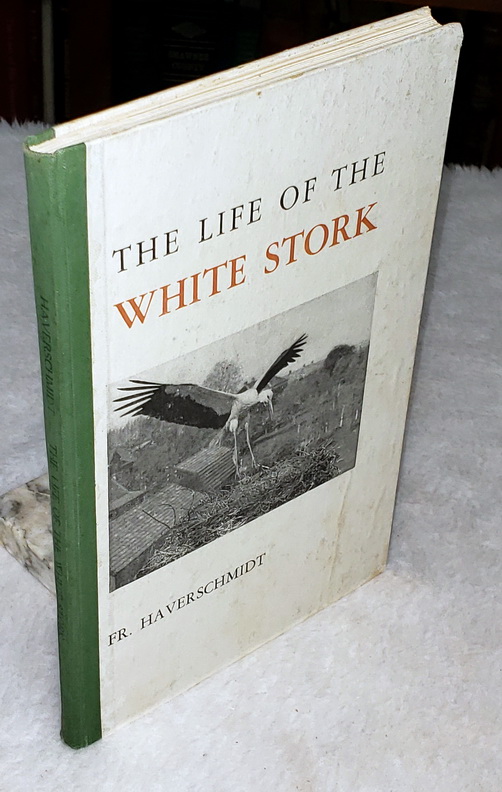 The Life of the White Stork
