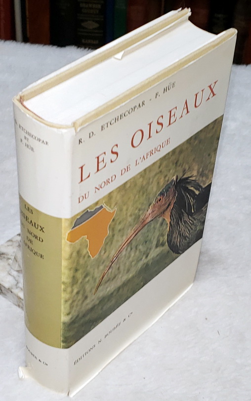 Les Oiseaux Du Nord De L'Afrique de La Mer Rouge Aux Canaries