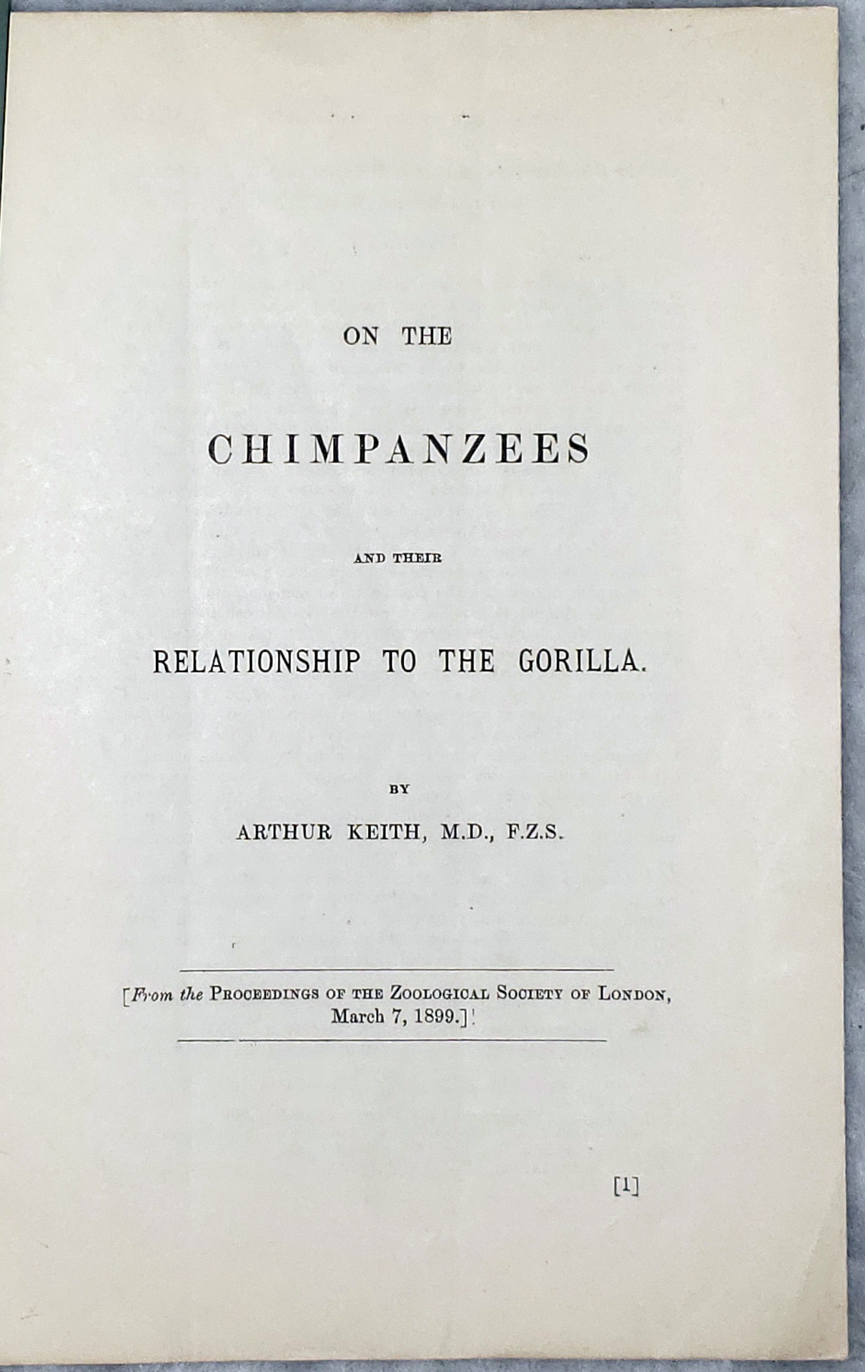 On The Chimpanzees and Their Relationship to the Gorilla