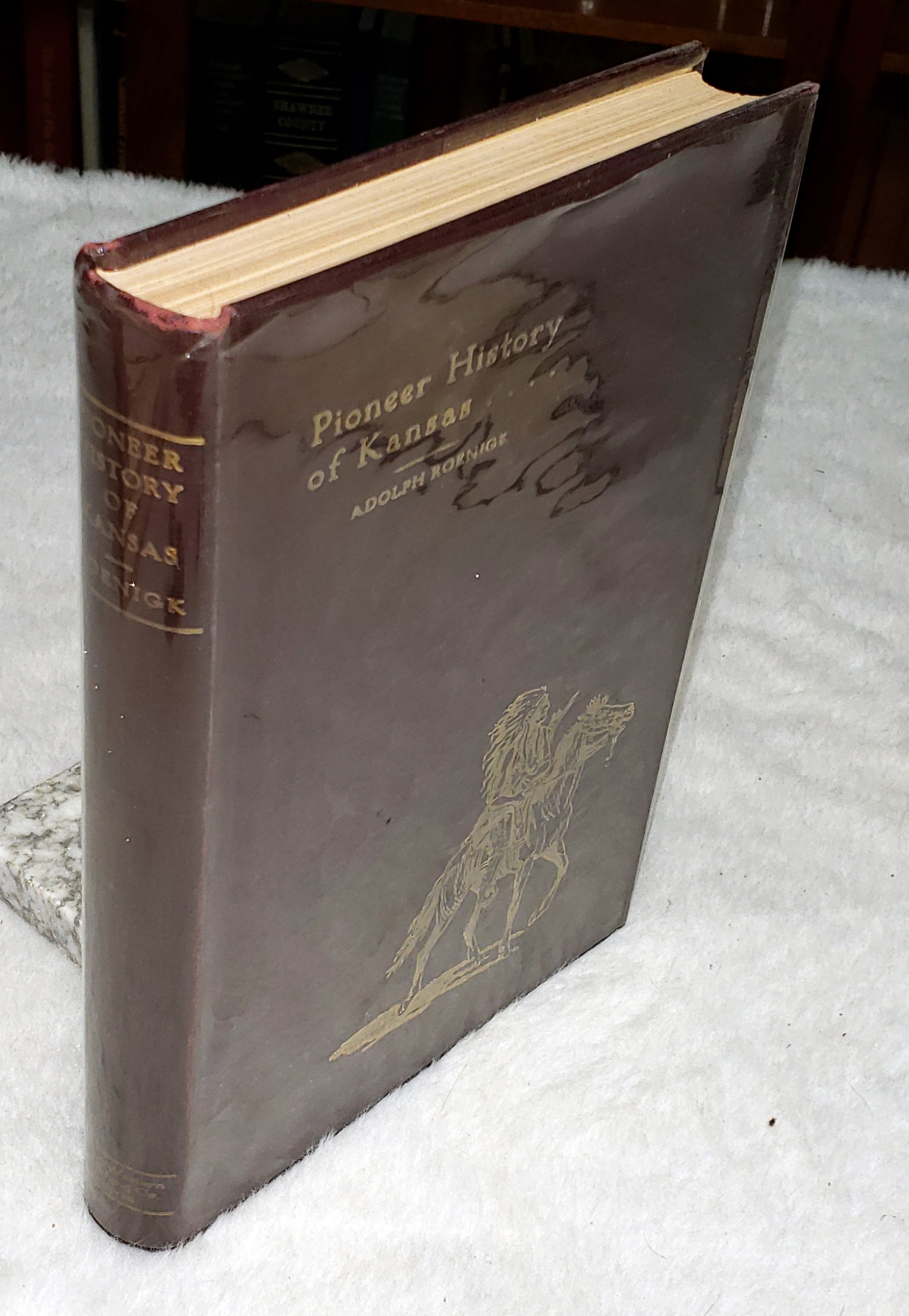 Pioneer History of Kansas