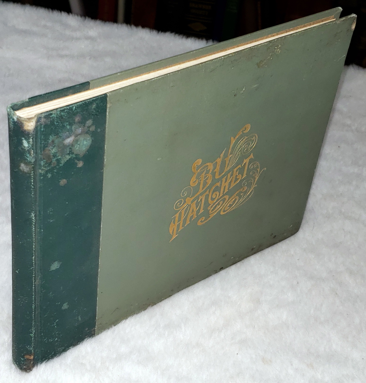 The Hatchet: The Junior Annual of Baker University [Baker's Second Annual]