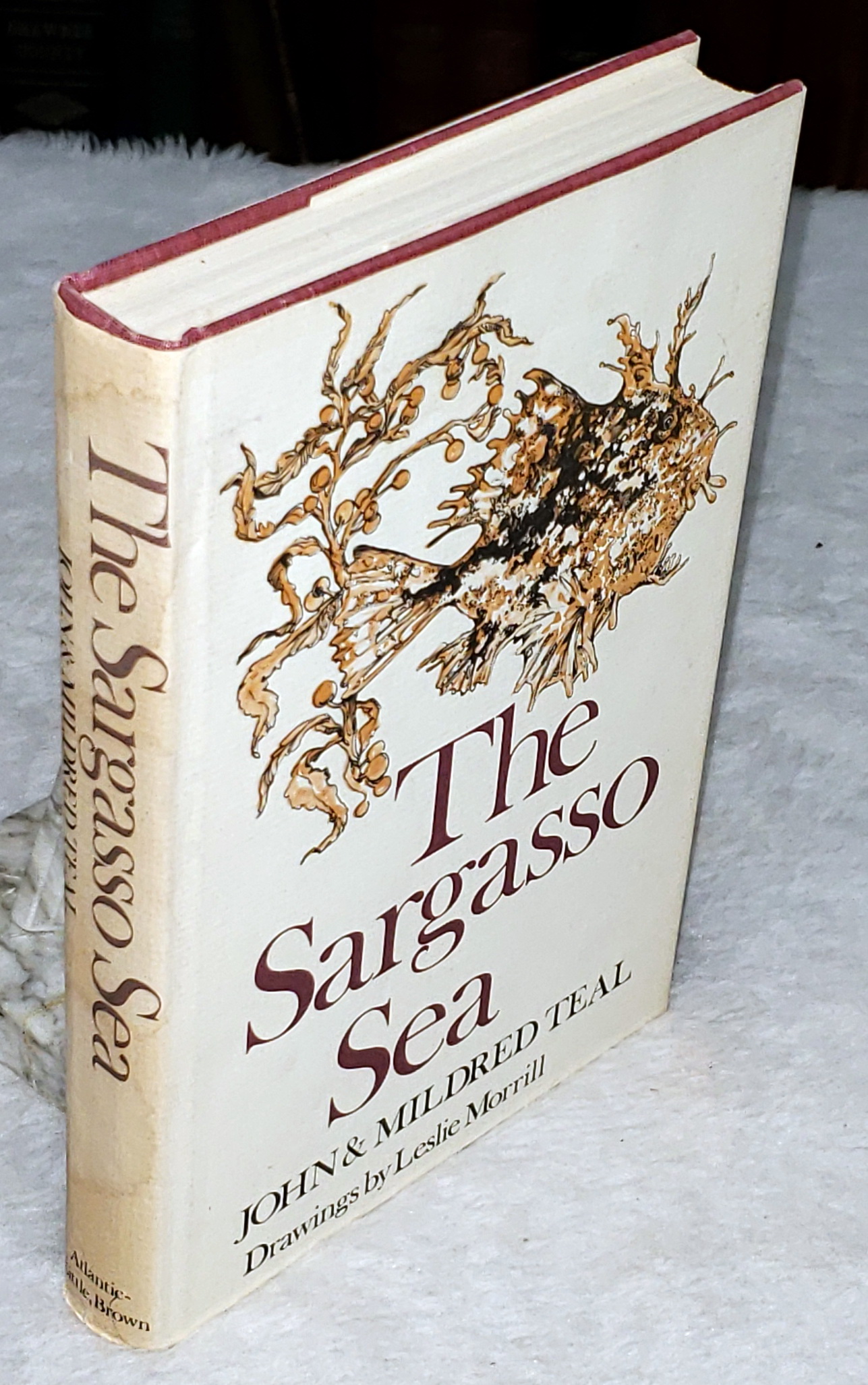 The Sargasso Sea