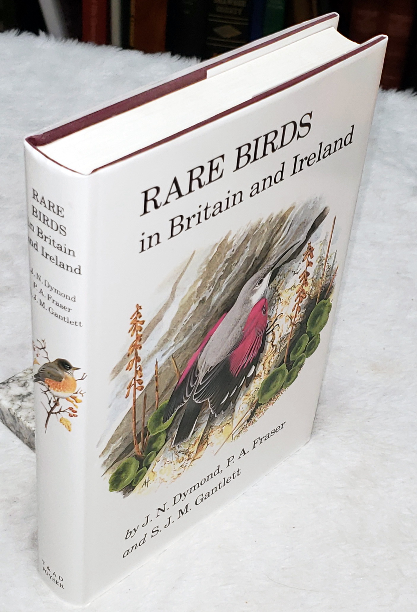 Rare Birds in Britain and Ireland