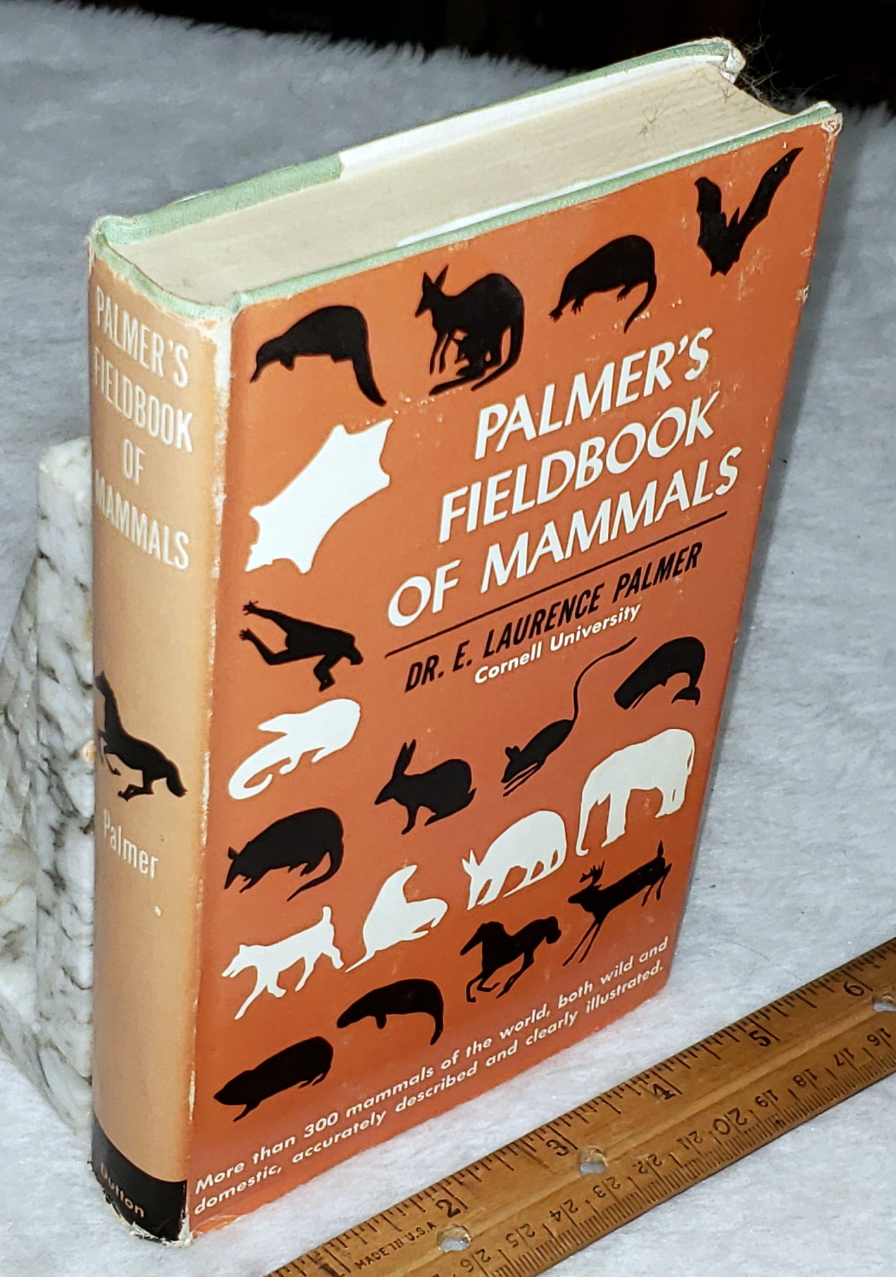 Image for Palmer's Fieldbook of Mammals: A Unit in a Series of Aids to Conservation Palmer's Fieldbook of Mammals: A Unit in a Series of Aids to Conservation