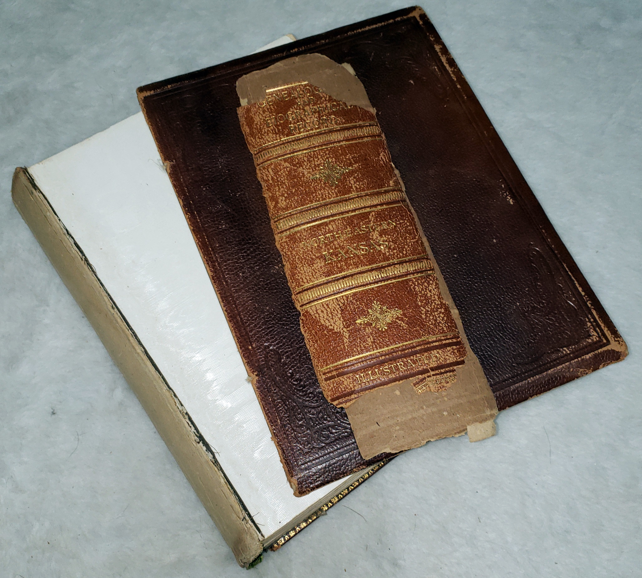 Genealogical and Biographical Record of North-eastern Kansas