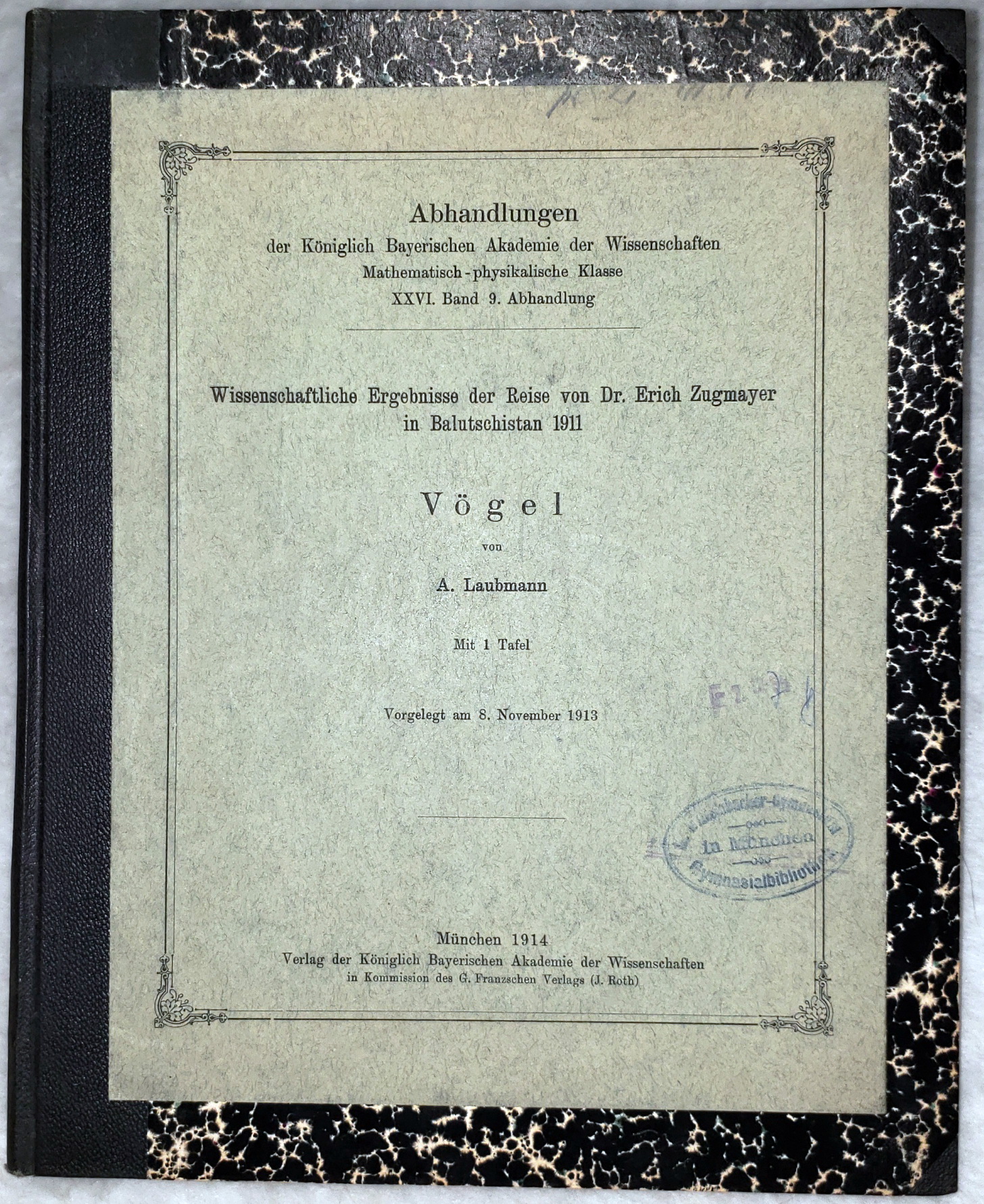 Wissenschaftliche Ergebnisse Der Reise Von Dr. Erich Zubmayer in Balutschistan 1911, Vogel