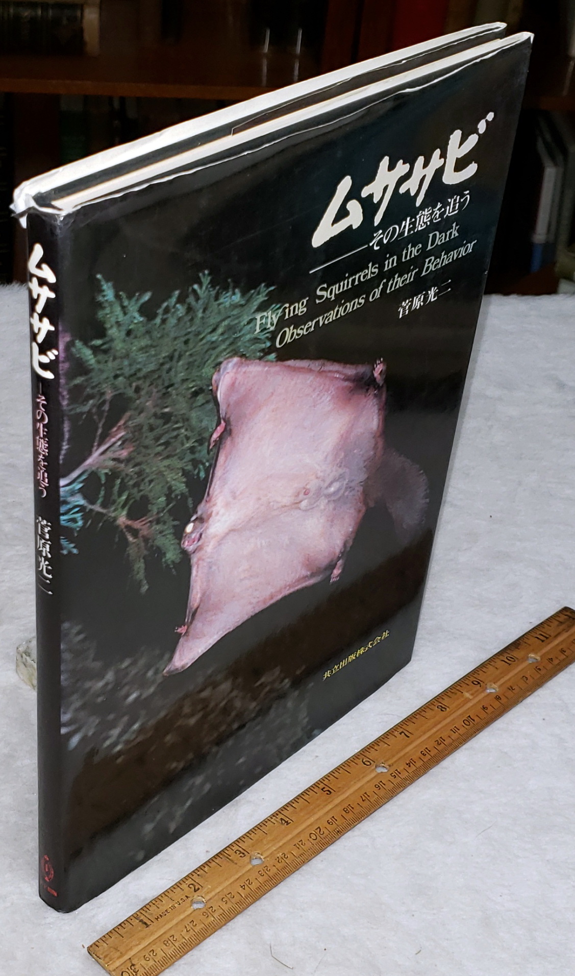 Flying Squirrels in the Dark: Observations of Their Behavior