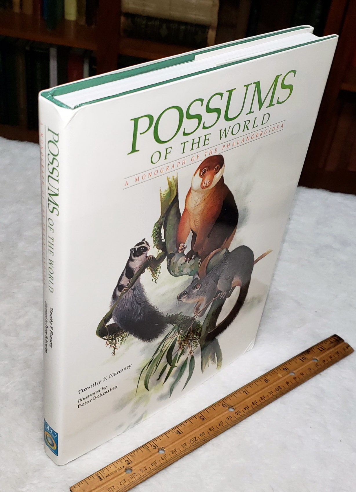 Possums of the World: A Monograph of the Phalangeroidea