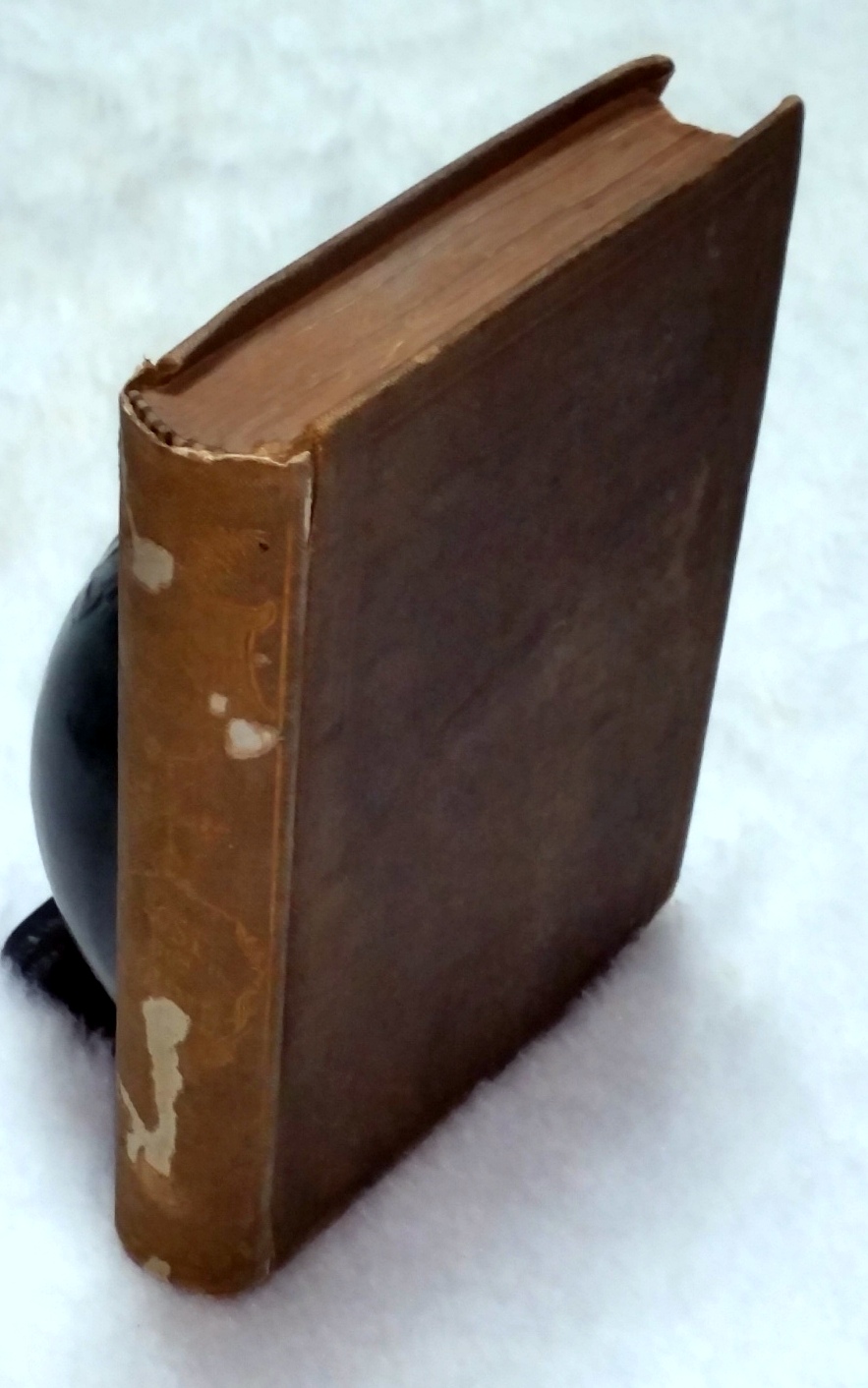Image for Lost But Found: Or, The Jewish Home
