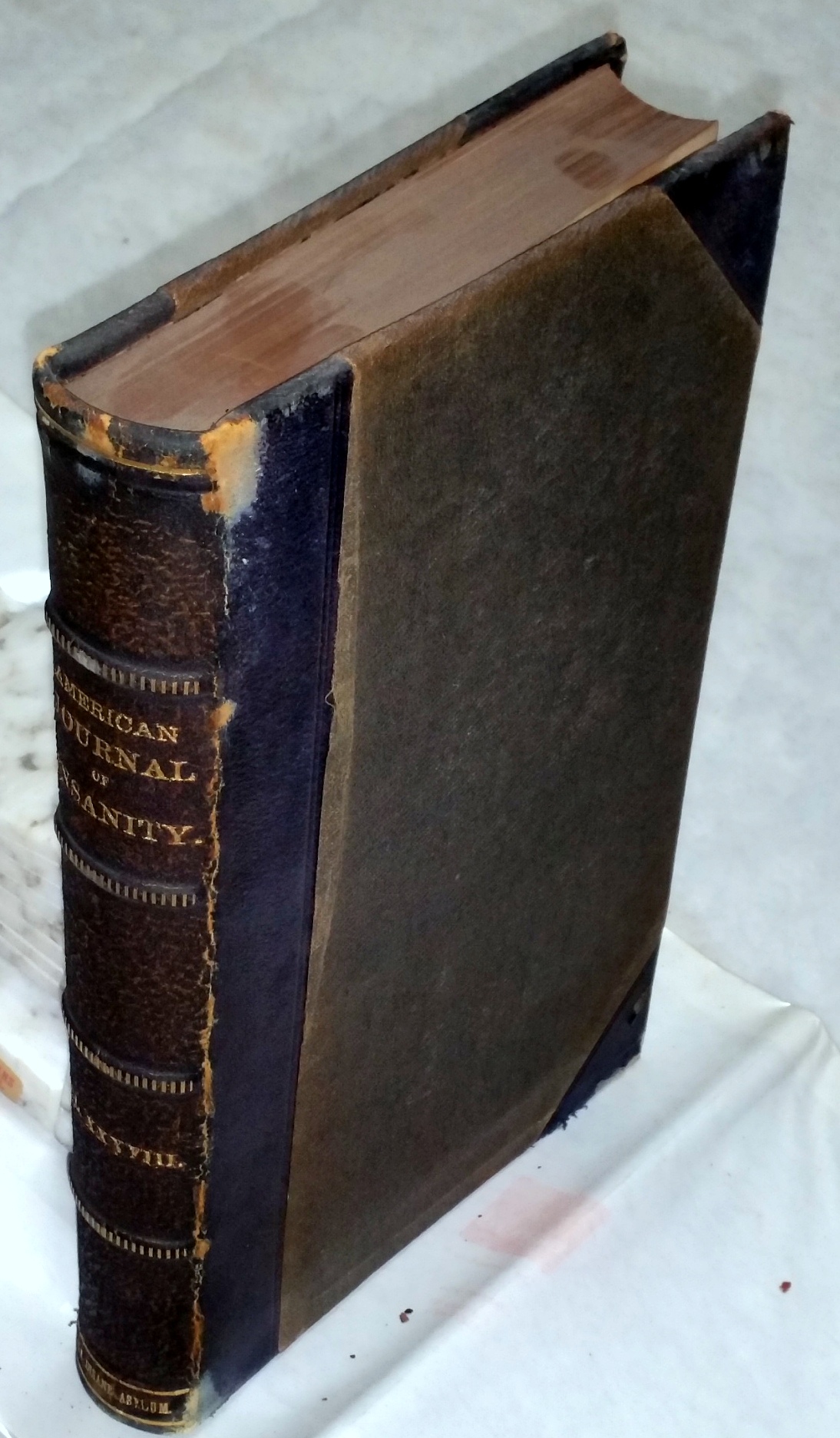 Image for The American Journal of Insanity, Volume XXXVIII