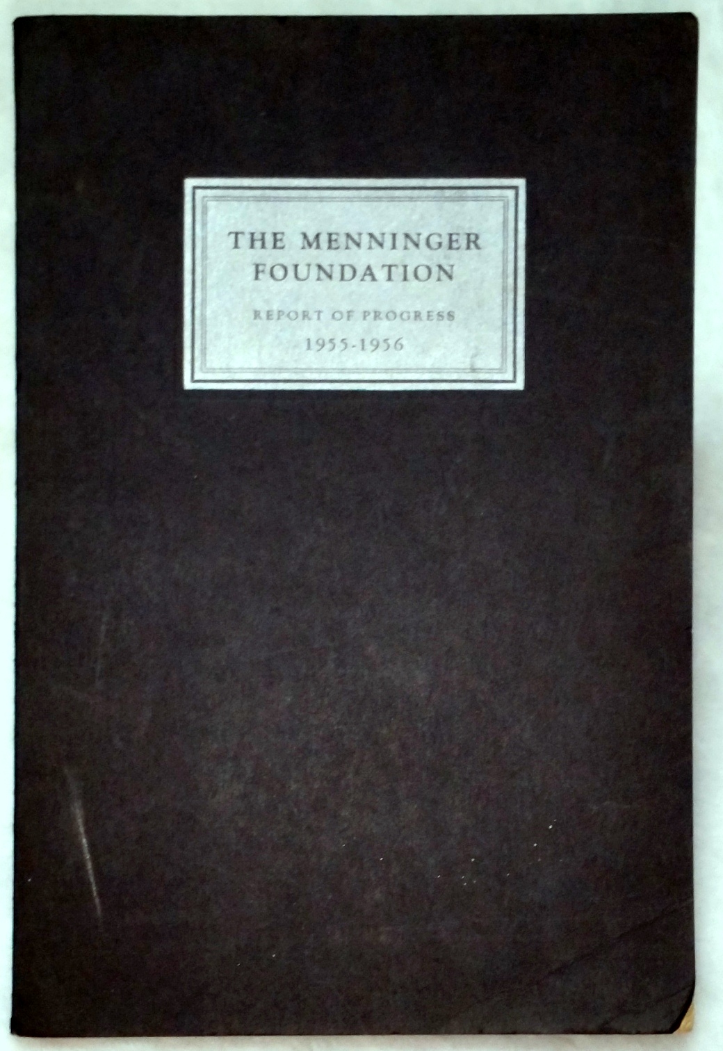Image for The Menninger Foundation, Report of Progress for the Year from July 1, 1955 to June 30, 1956