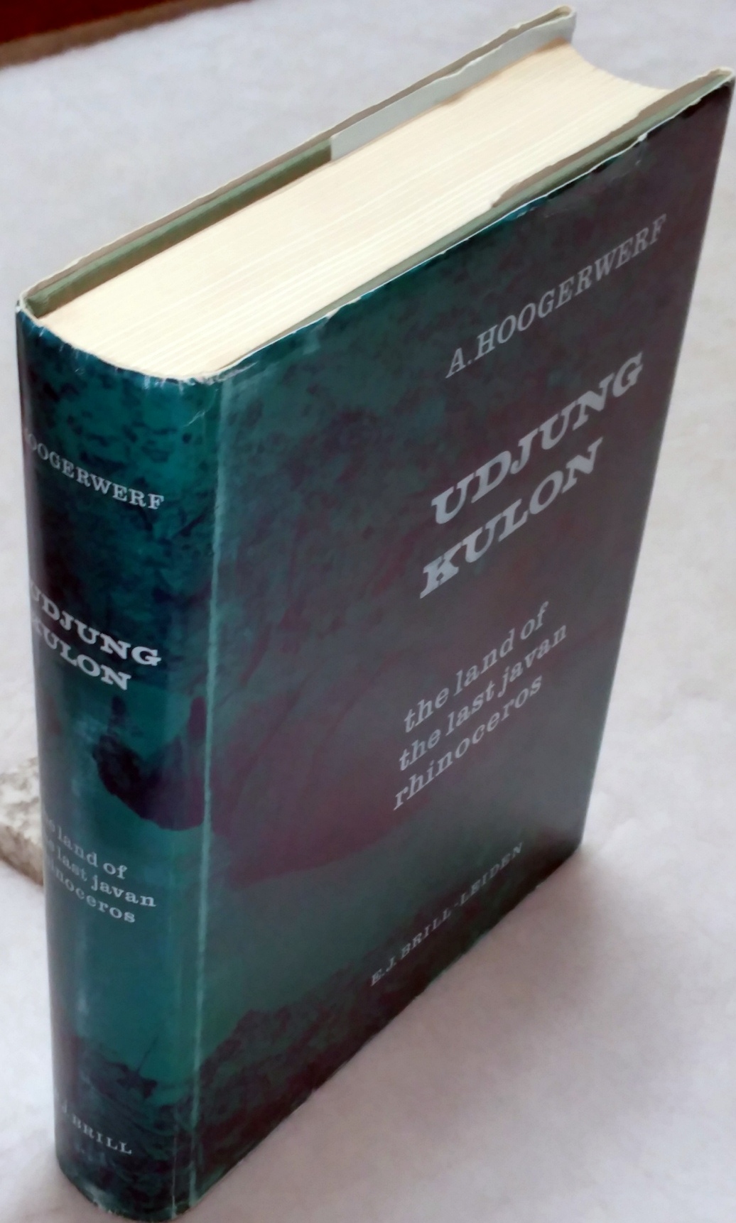 Image for Udjung Kulon: The Land of the Last Avan Rhinoceros
