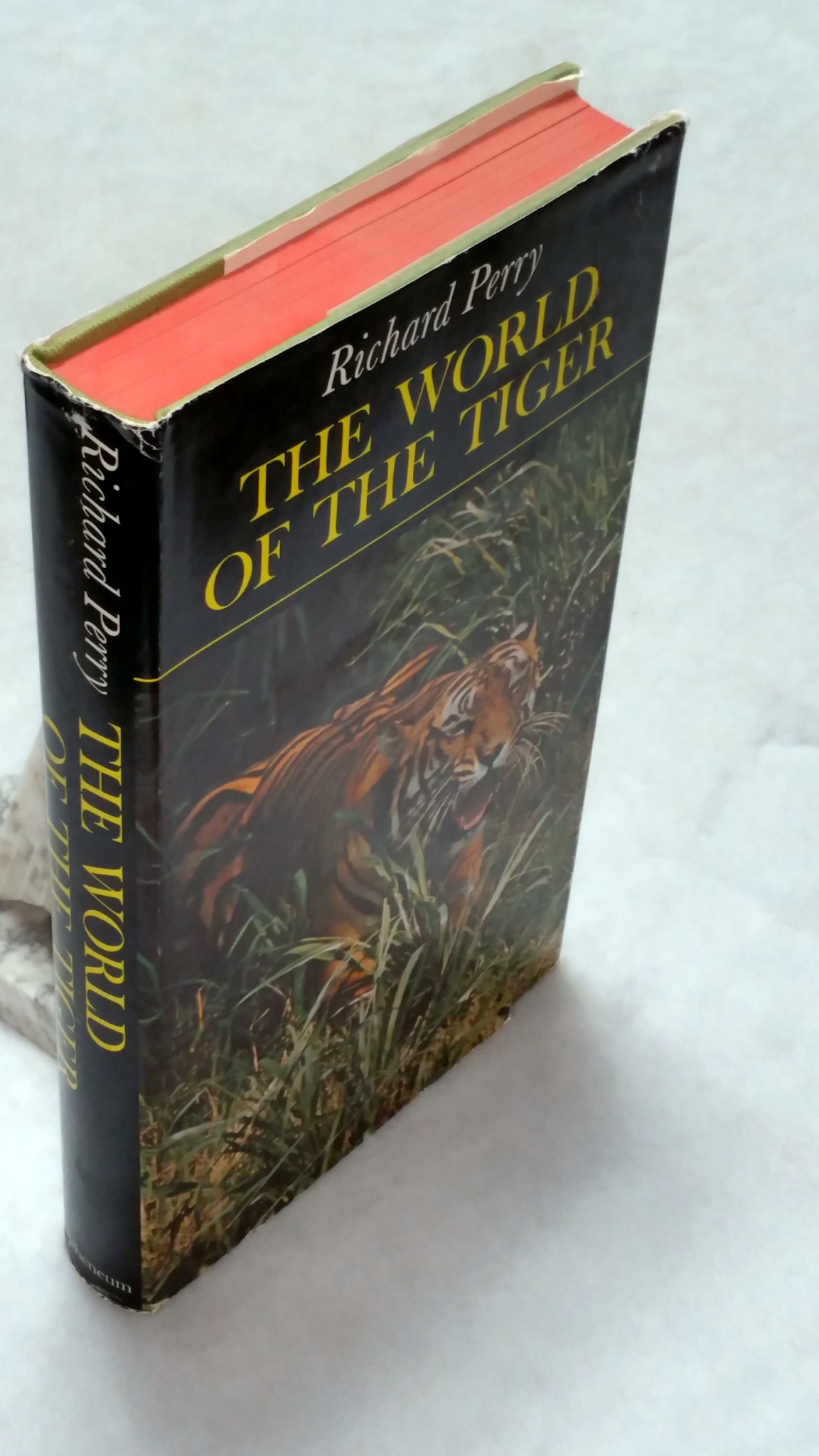 Image for The World of the Tiger