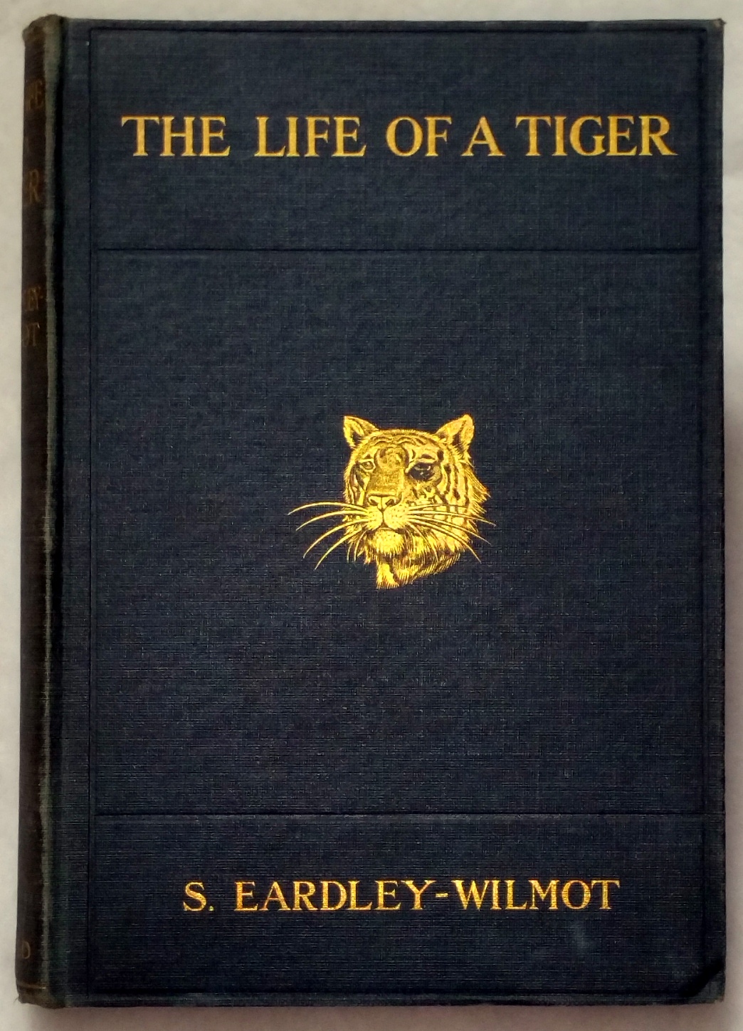 Image for The Life of a Tiger